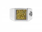 442SBR Signet Ring SXM - Elements Collection